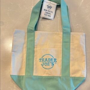 Trader Joe’s Mini Pastel Canvas Tote Bag - Sea Foam Green sold out in stores!